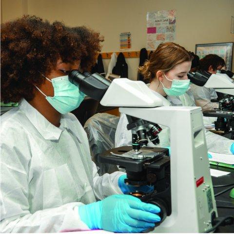 健康科学实验室. Students looking through microscopes.